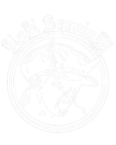 Logo Non Servium